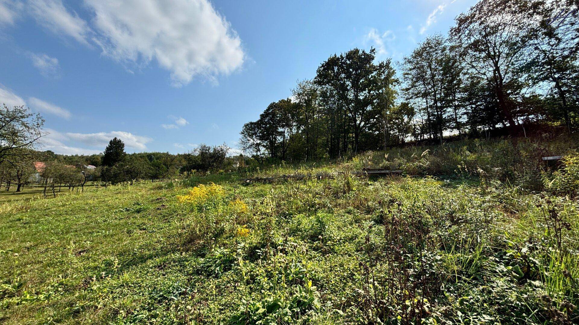 Weitläufige grüne Wiese mit vereinzelten Bäumen und einem kleinen Holzschuppen im Hintergrund.
