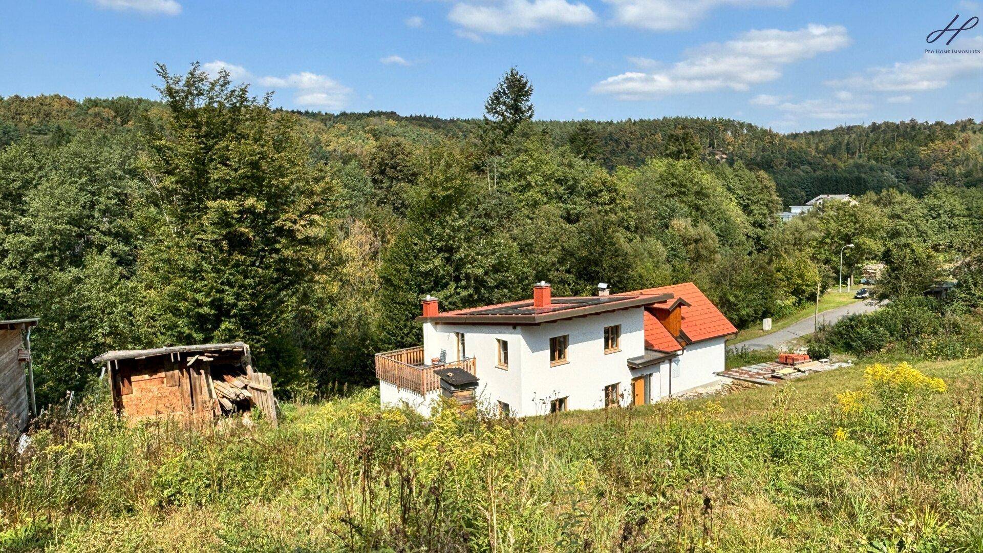 Grüne Wiese mit einem kleinen Holzschuppen und Bäumen im Hintergrund unter blauem Himmel.