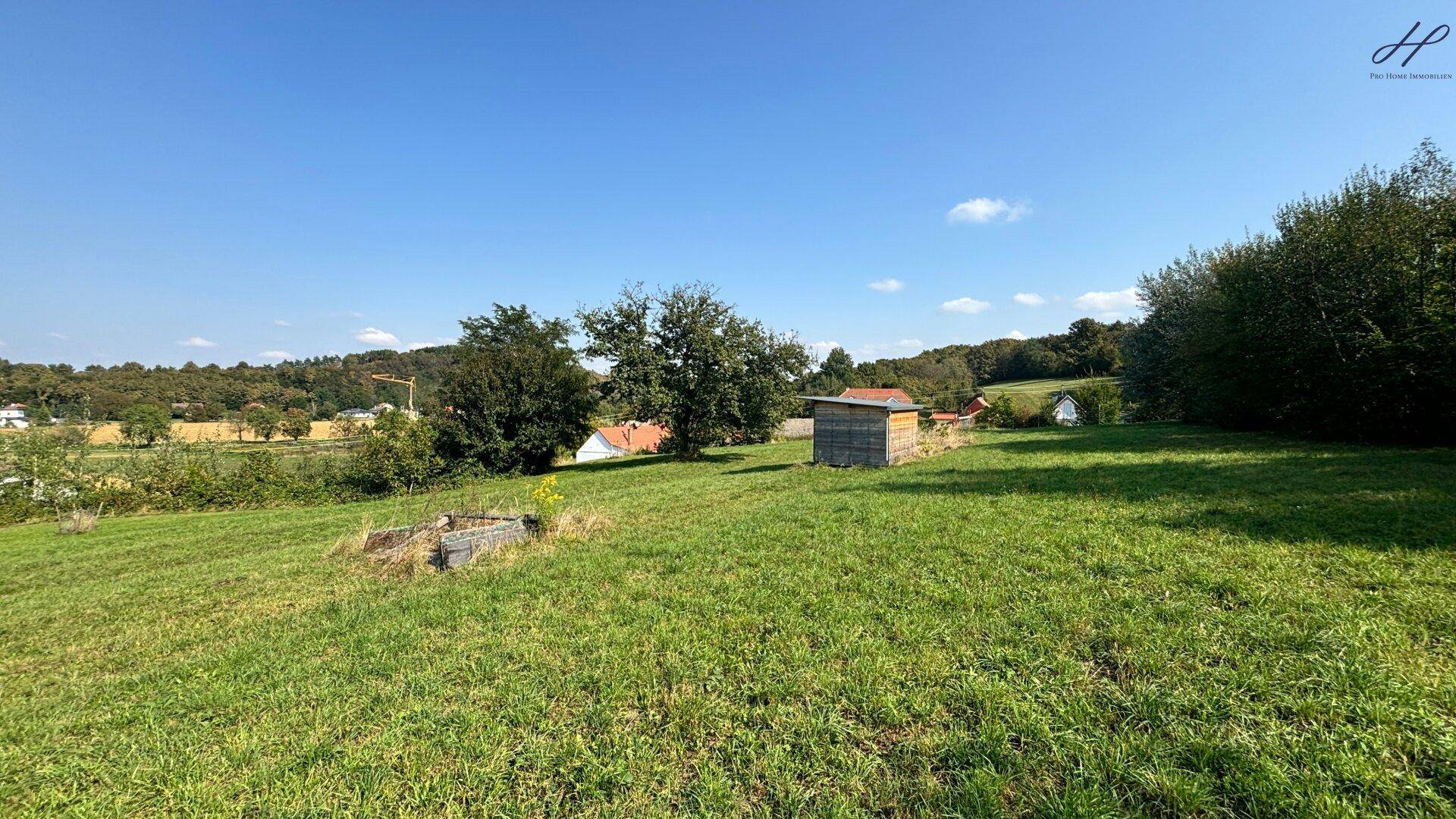 Innenansicht eines Holzschuppens mit sichtbaren Holzlatten und Holzboden.