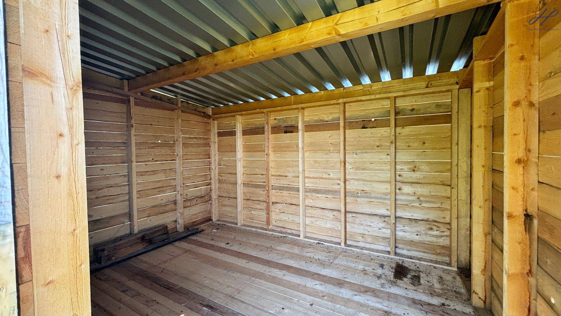 Grüne Wiese mit Weinreben und Bäumen im Hintergrund unter strahlend blauem Himmel.