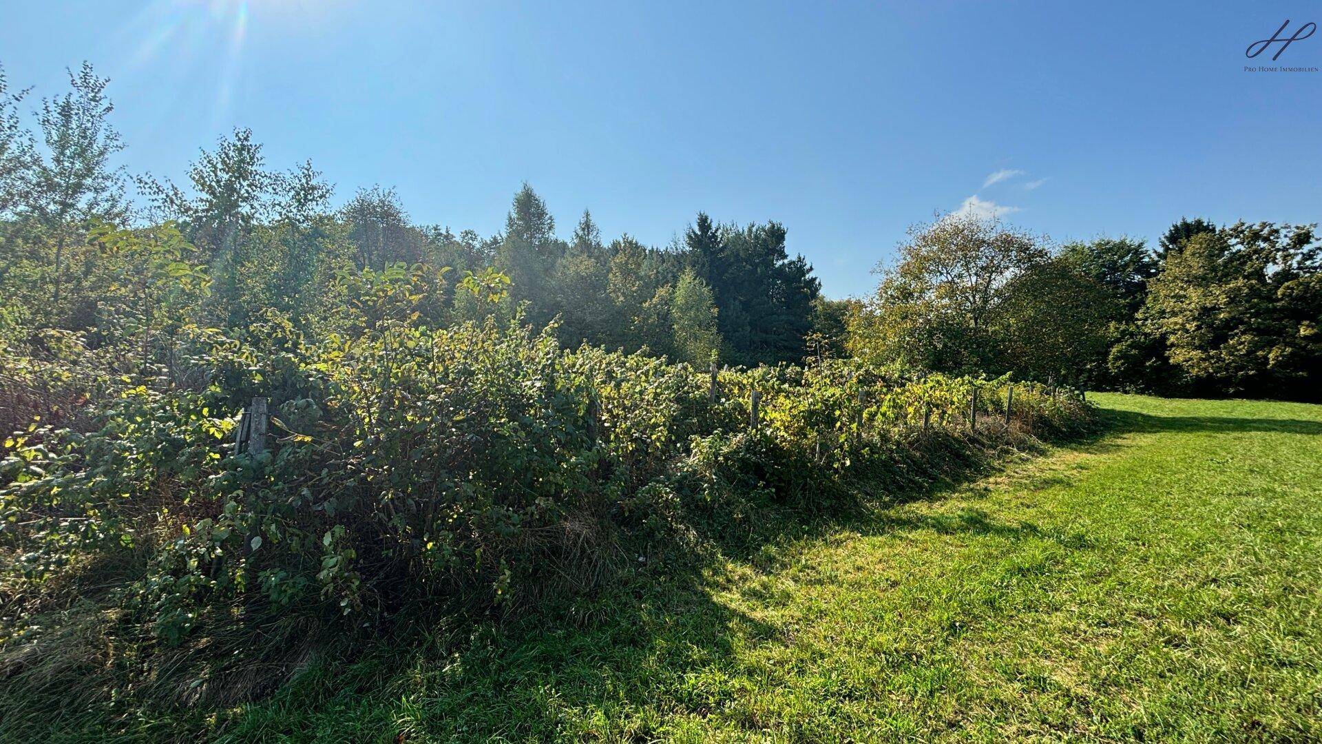 Grundriss des Obergeschosses mit zwei Zimmern, Bad, Dachterrasse und Solaranlage.