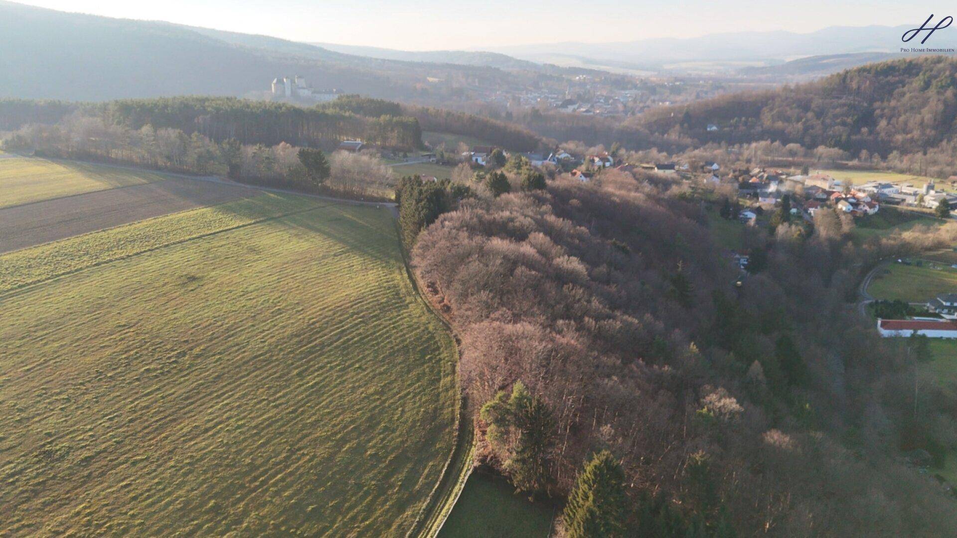 Panoramablick aus der Vogelperspektive auf die weite Landschaft mit Feldern, Wäldern und einem Dorf.