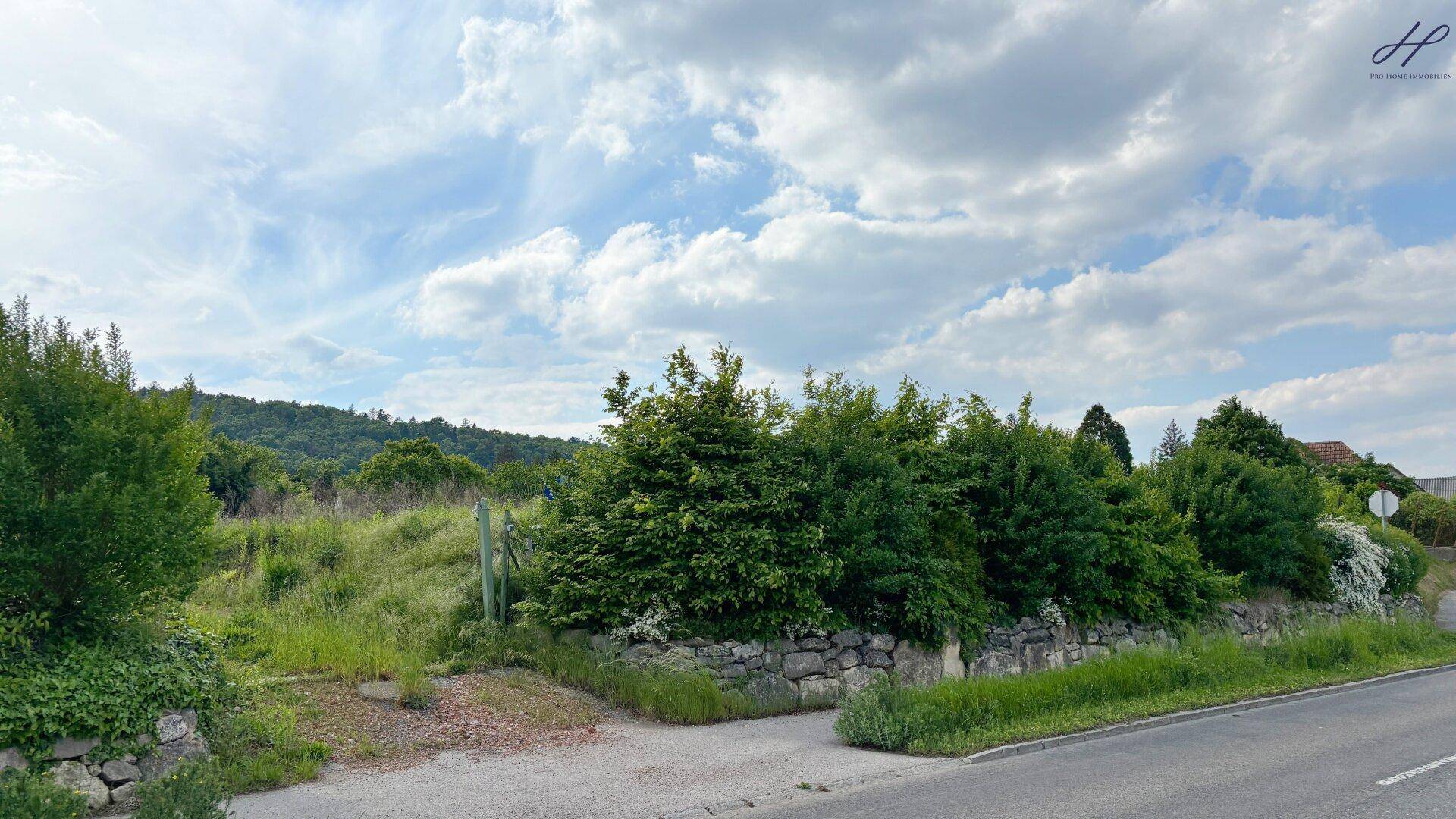 sonniges Baugrundstück in Bad Sauerbrunn - Ansicht 6