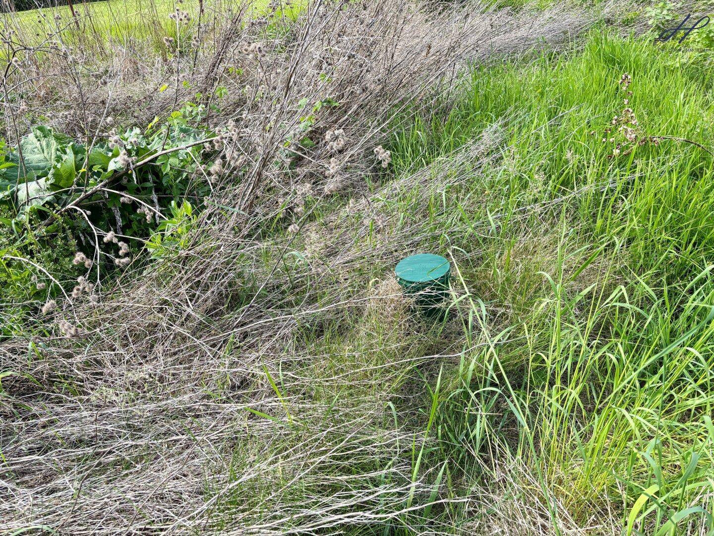 sonniges Baugrundstück in Bad Sauerbrunn - Ansicht 4