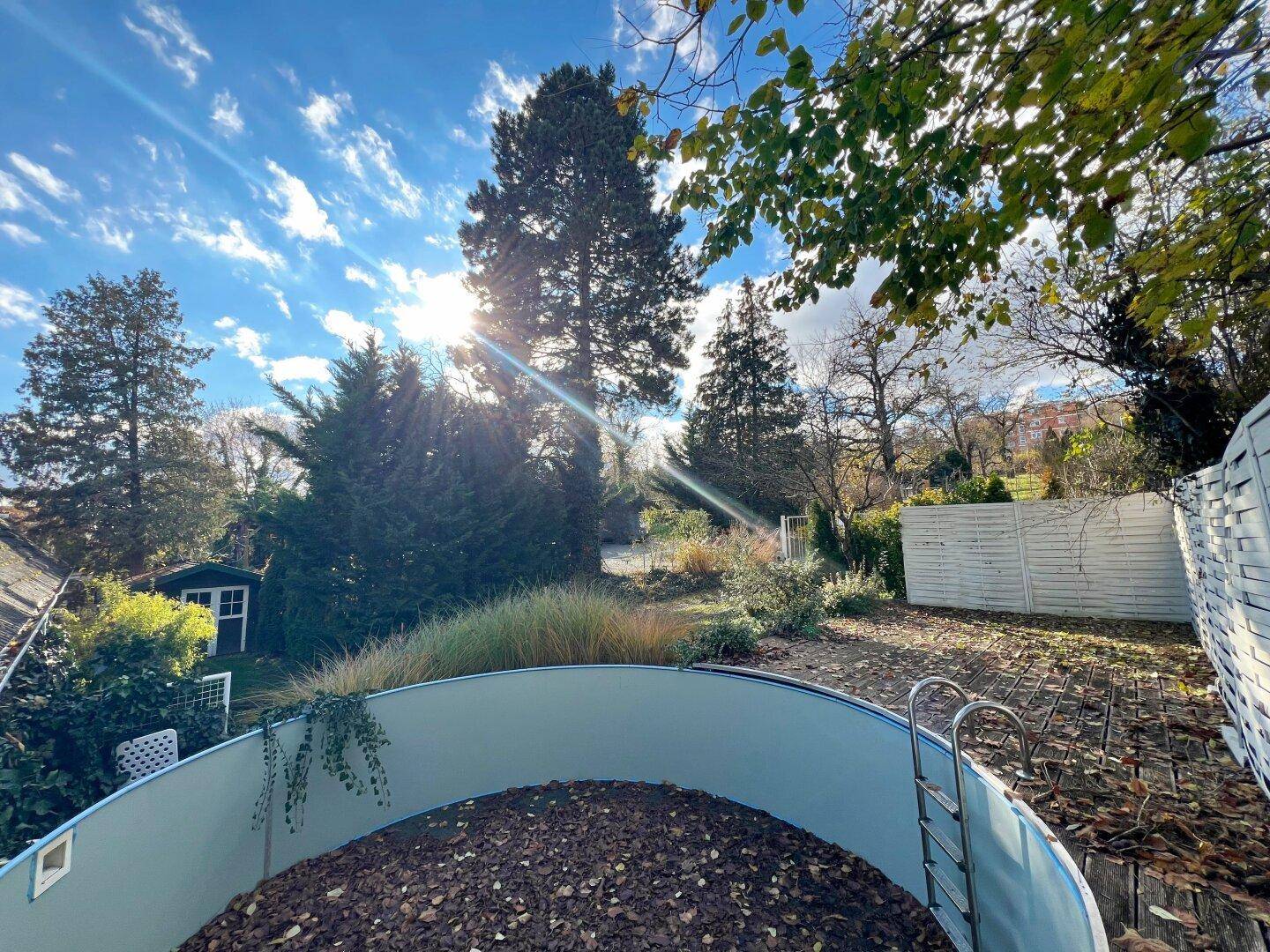Großer Gartenbereich mit eingelassenem Pool und altem Baumbestand unter blauem Himmel.