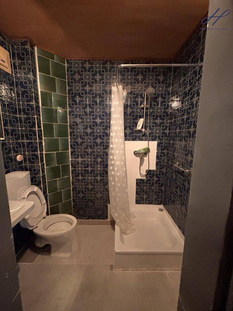 Funktionales Badezimmer mit Dusche, WC und auffälligen blauen Fliesen, inklusive Haltegriffen für Sicherheit.