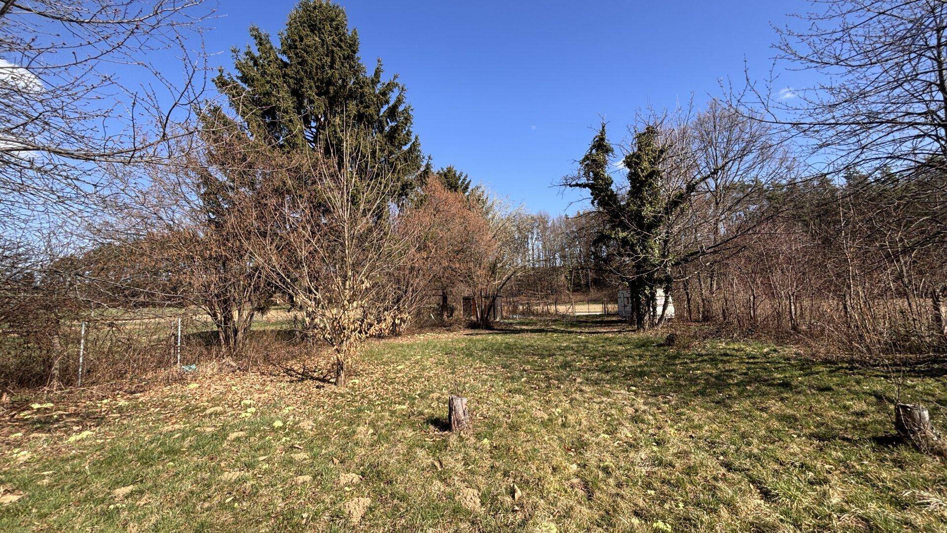 Großer Gartenbereich mit Bäumen und Sträuchern, ideal für Erholung im Freien unter blauem Himmel.