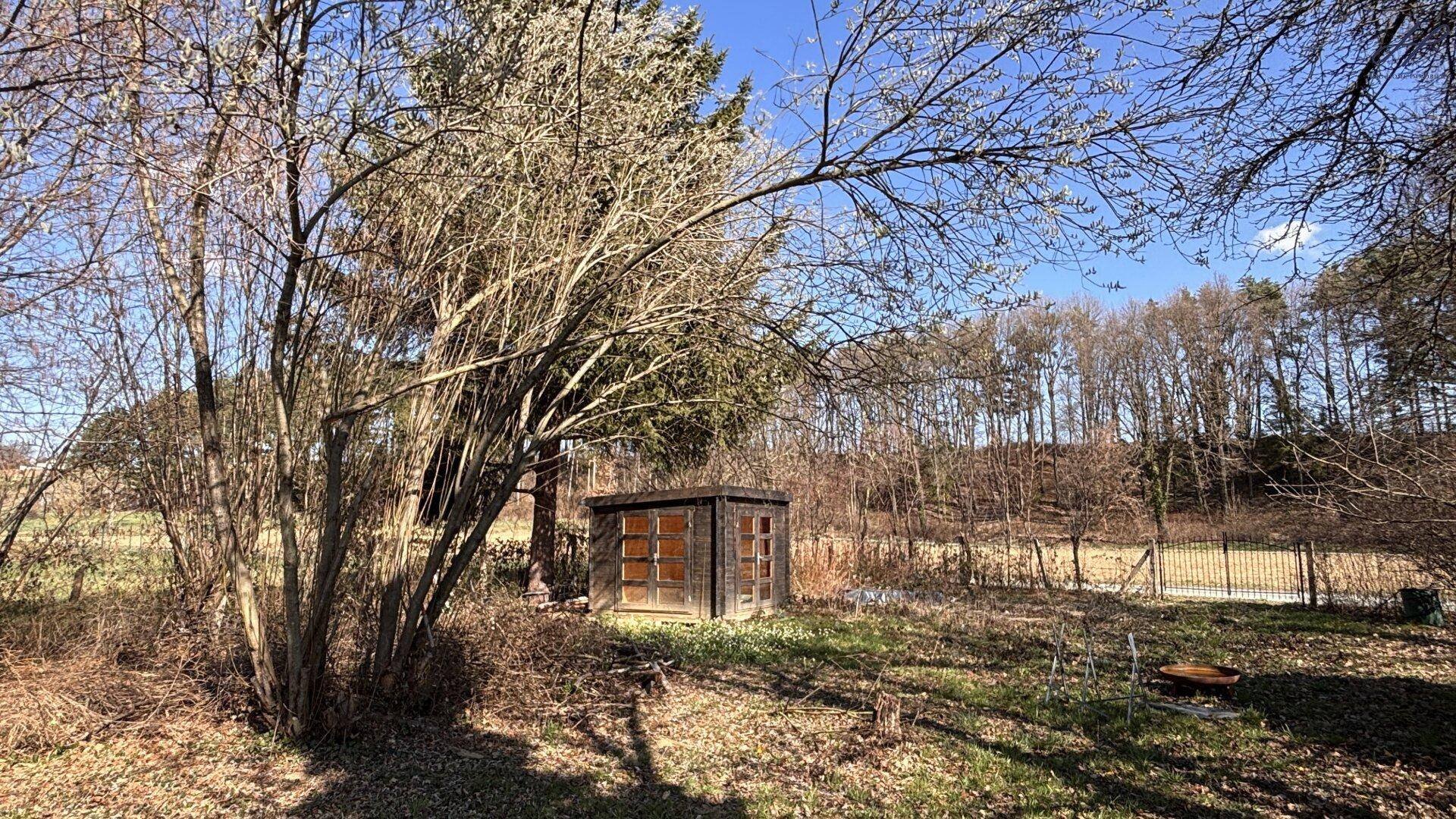 Naturbelassener Gartenbereich mit altem Baumbestand und einem kleinen Holzschuppen im Grünen.