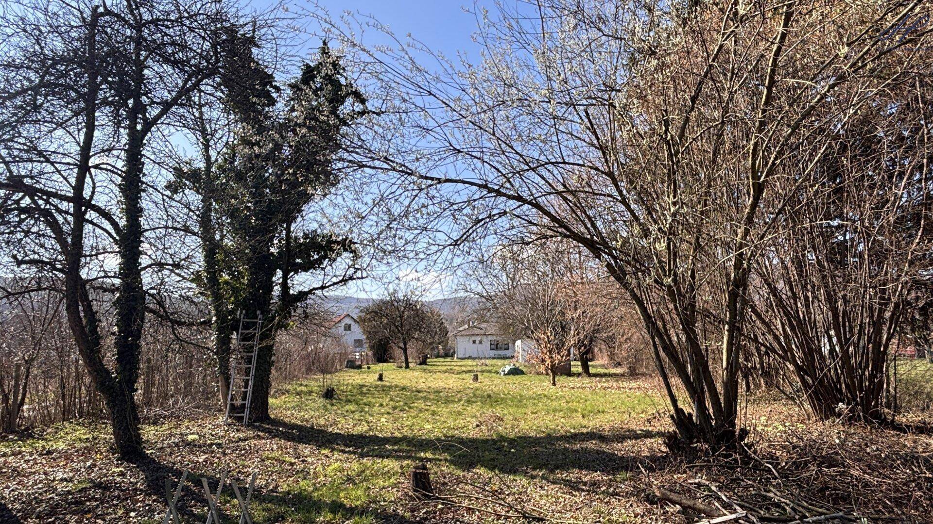 Weitläufiger Garten mit verschiedenen Bäumen und Blick auf die umliegende Landschaft im Frühling.