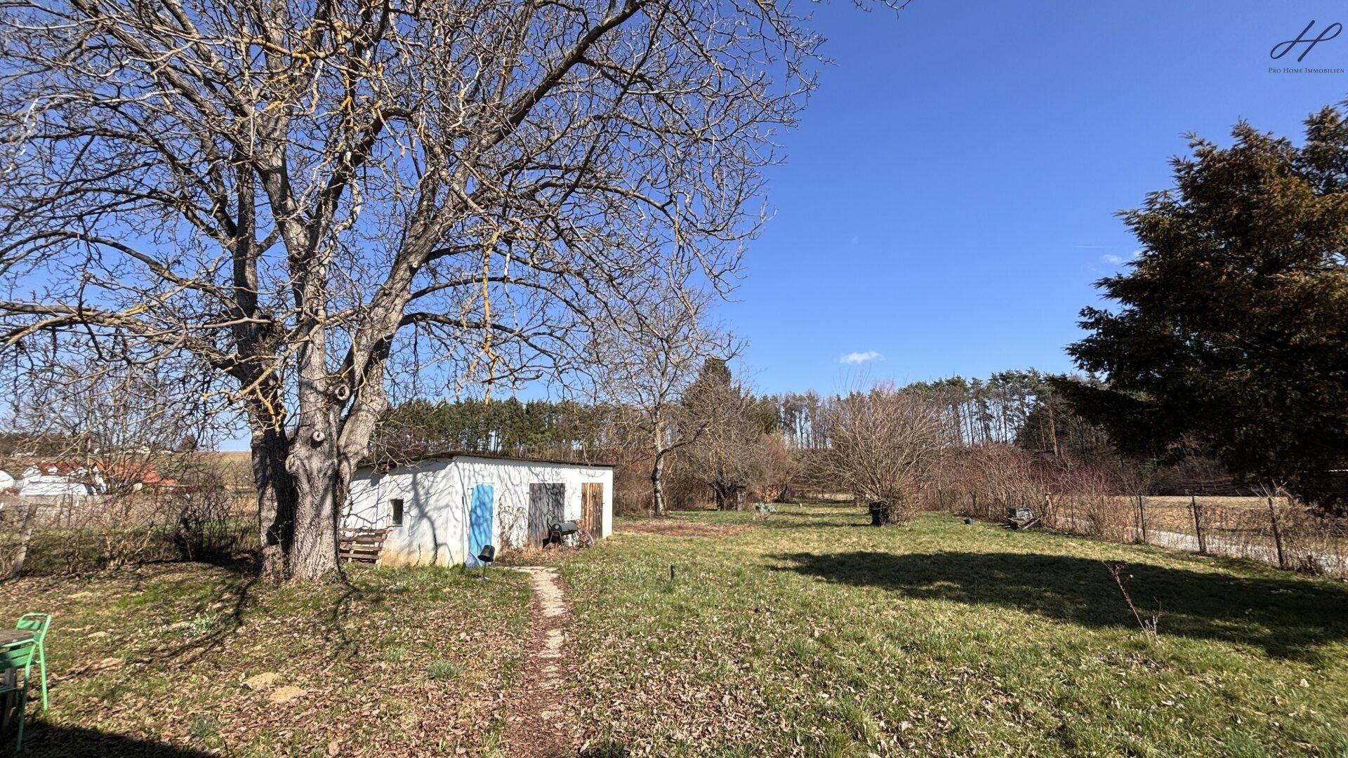 Großes Gartengrundstück mit Nebengebäude und altem Baumbestand unter blauem Himmel.