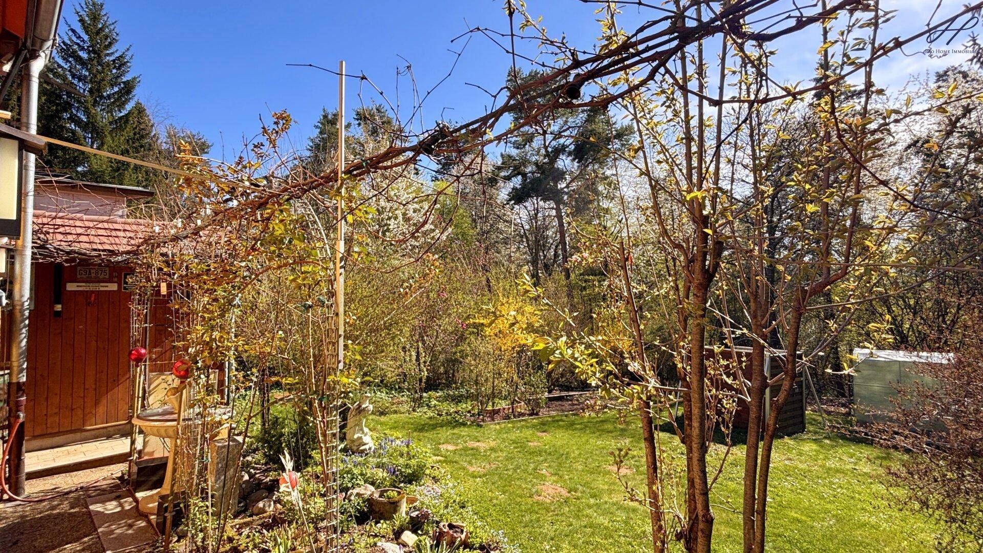 Weitläufiger Garten mit jungen Bäumen und Sträuchern unter strahlend blauem Himmel.