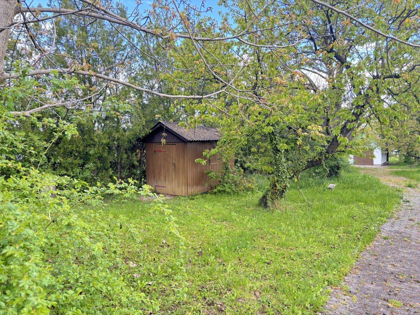 Kleiner Holzschuppen im Grünen, umgeben von Bäumen und Sträuchern, ideal für Gartengeräte.