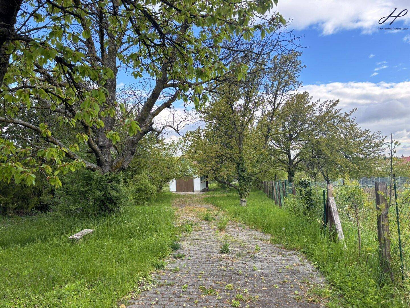 Langer Gartenweg, gesäumt von Bäumen und Sträuchern, der zu einem weiteren Gebäude führt.