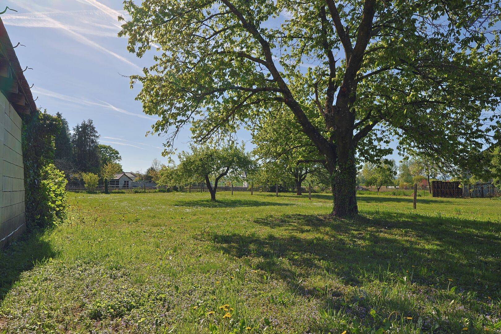 Einfamilienhaus mit Potenzial und großzügigem Garten - Ansicht 5
