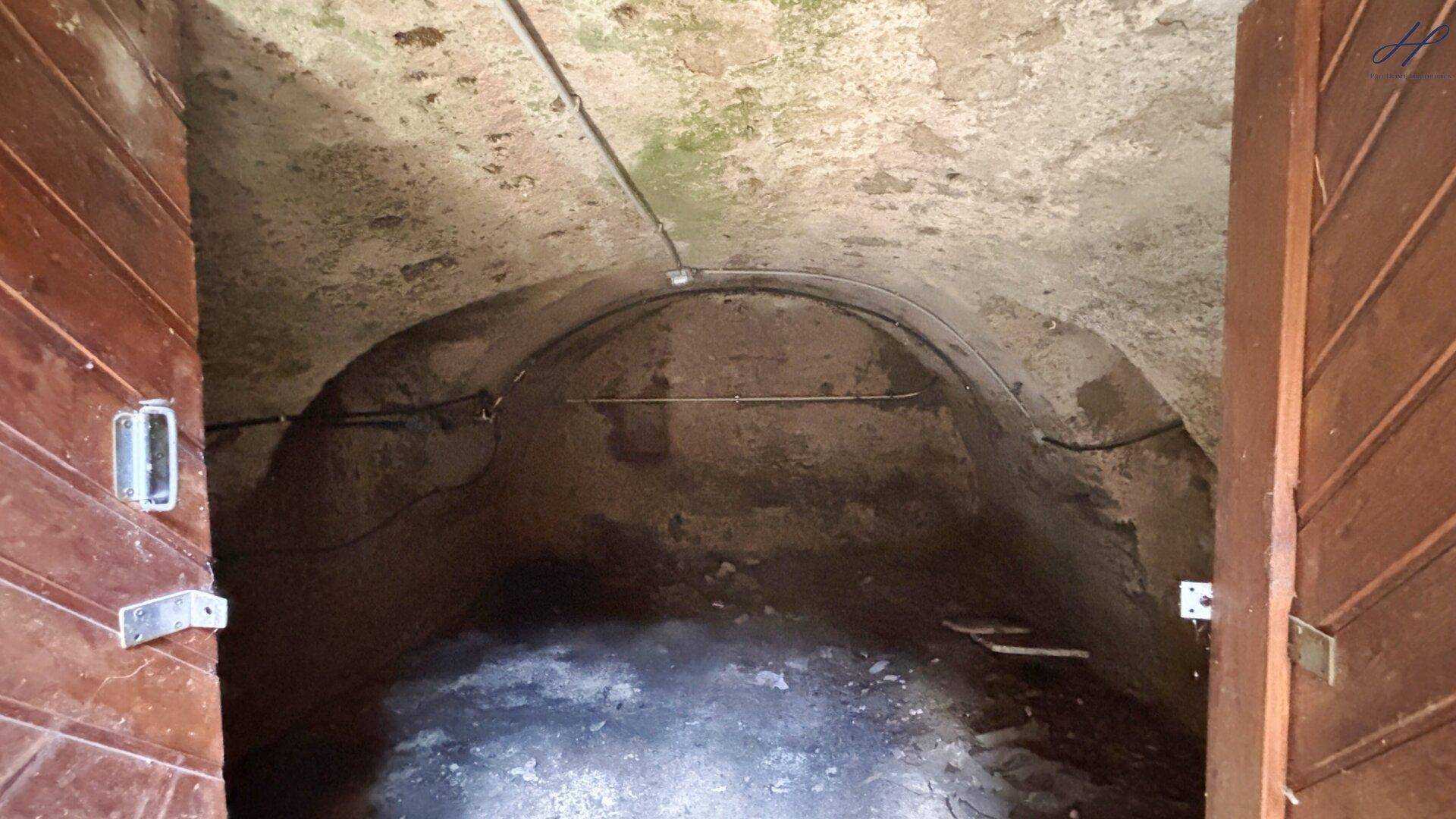 Gewölbekeller mit rauen Wänden und Decke, ideal zur Lagerung oder als Weinkeller.