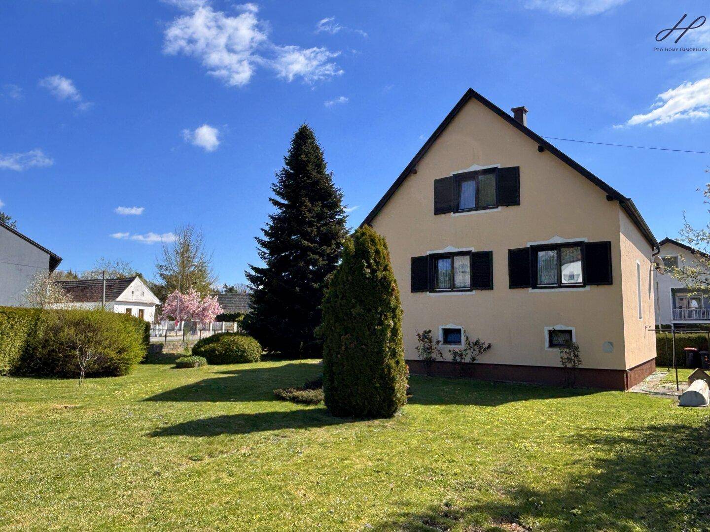 Sonnige Seite des Hauses mit weitläufigem Garten, hohen Bäumen und gepflegter Rasenfläche.