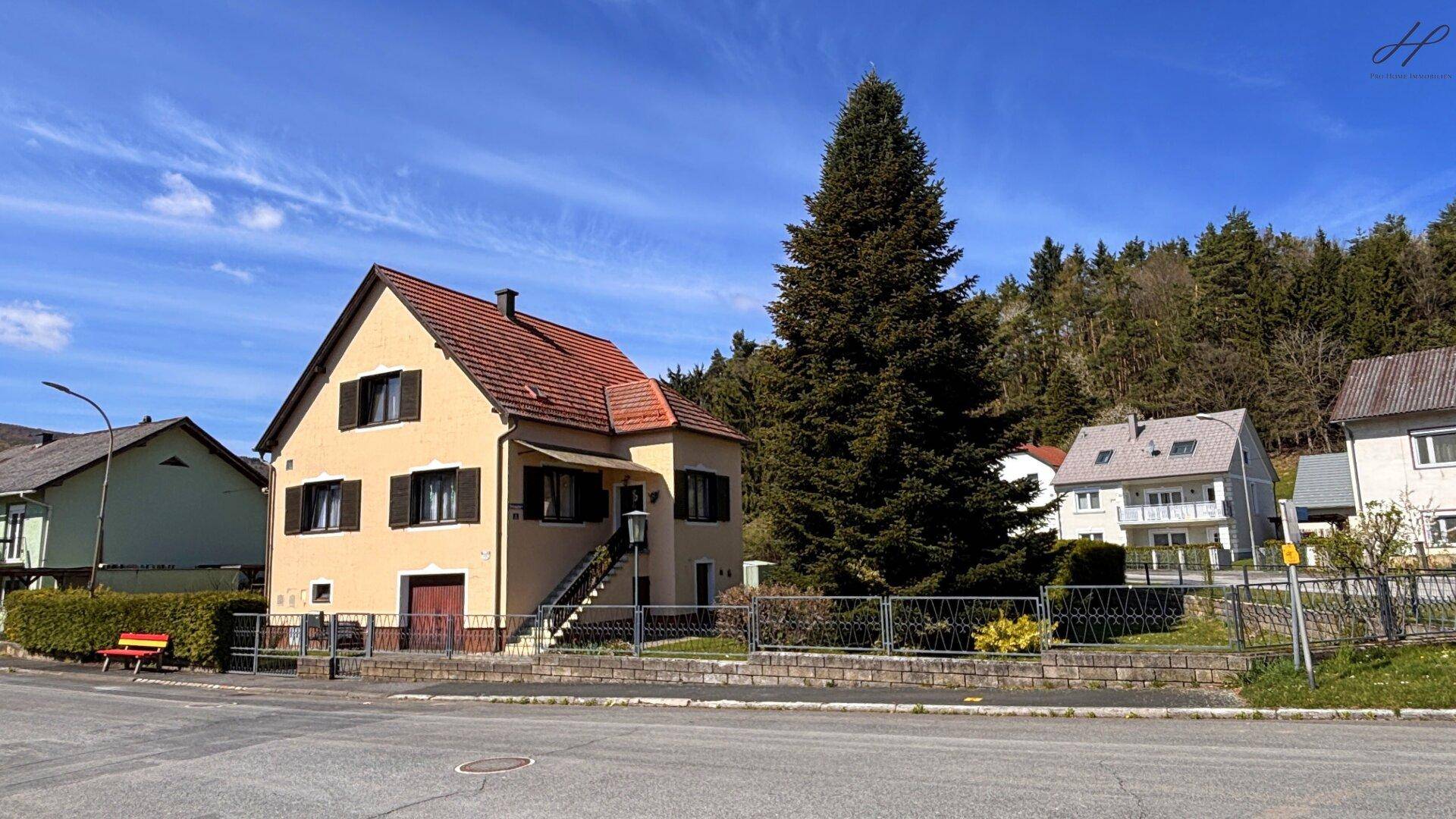 Hausansicht von der Straße mit Vorgarten, hohen Bäumen und umliegender Wohnbebauung.