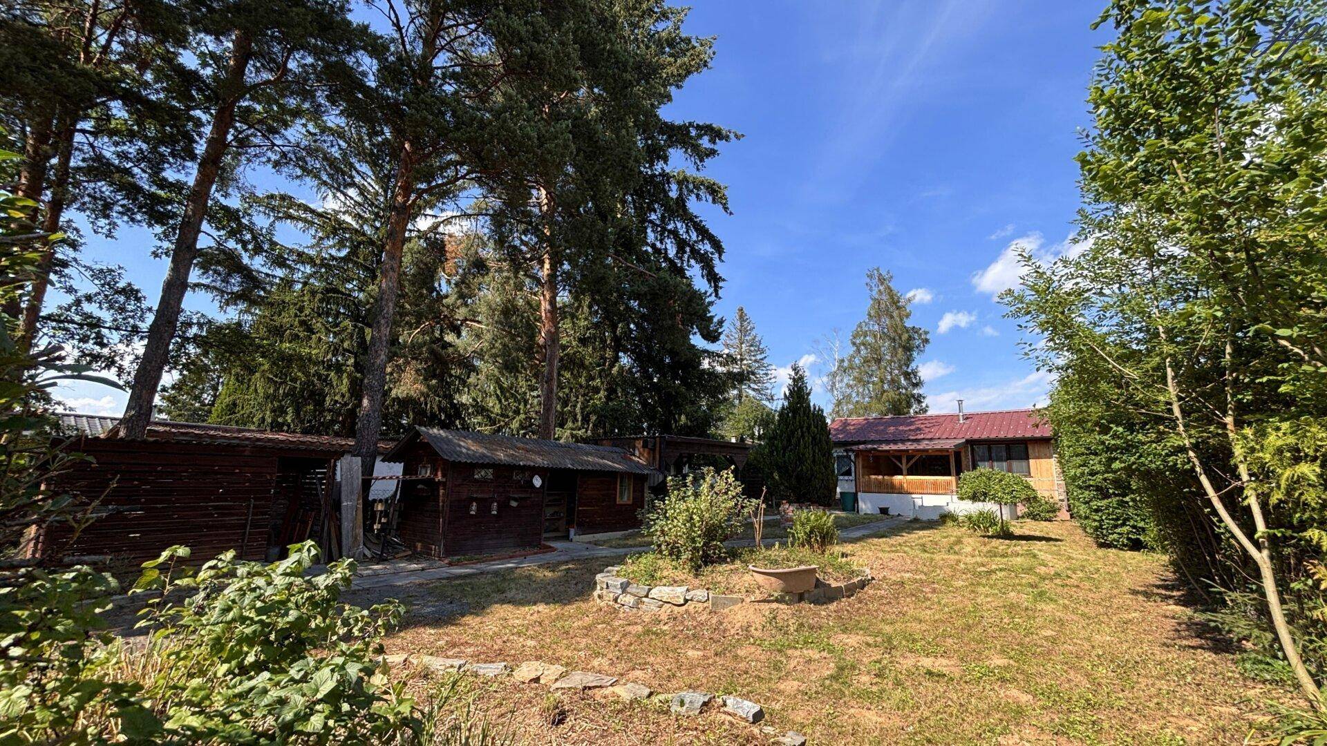 Weitläufiger Blick auf den Hinterhof mit Rasenfläche, Bäumen und kleinen Schuppen.