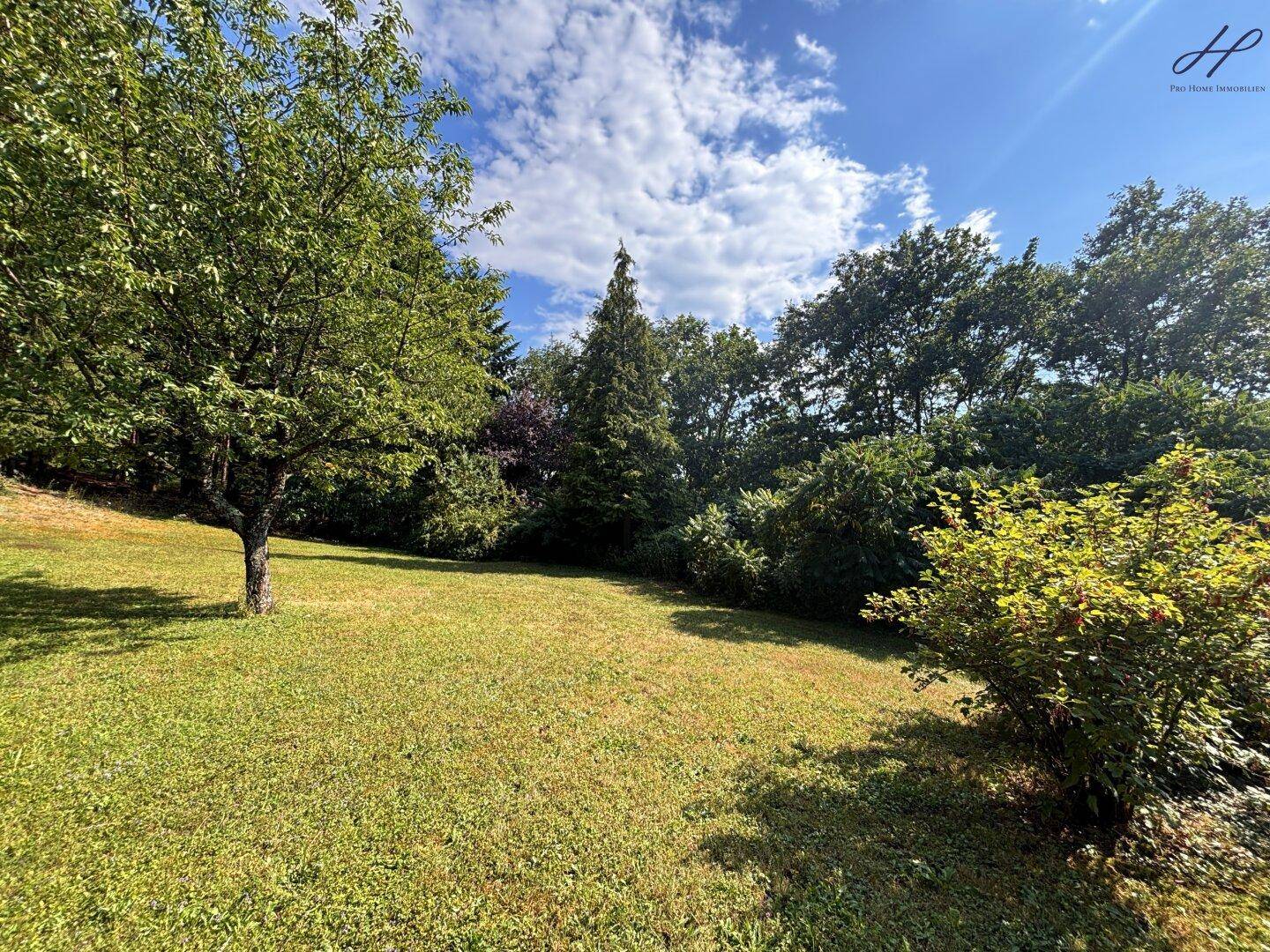 Natürlicher Gartenbereich mit Rasen, verschiedenen Bäumen und Sträuchern.