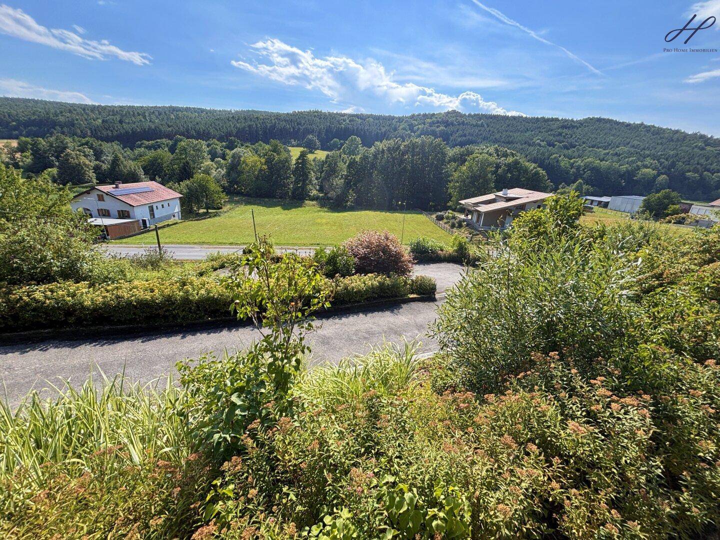 Blick von der Immobilie auf eine Straße, Hecken und Häuser in der grünen Umgebung.