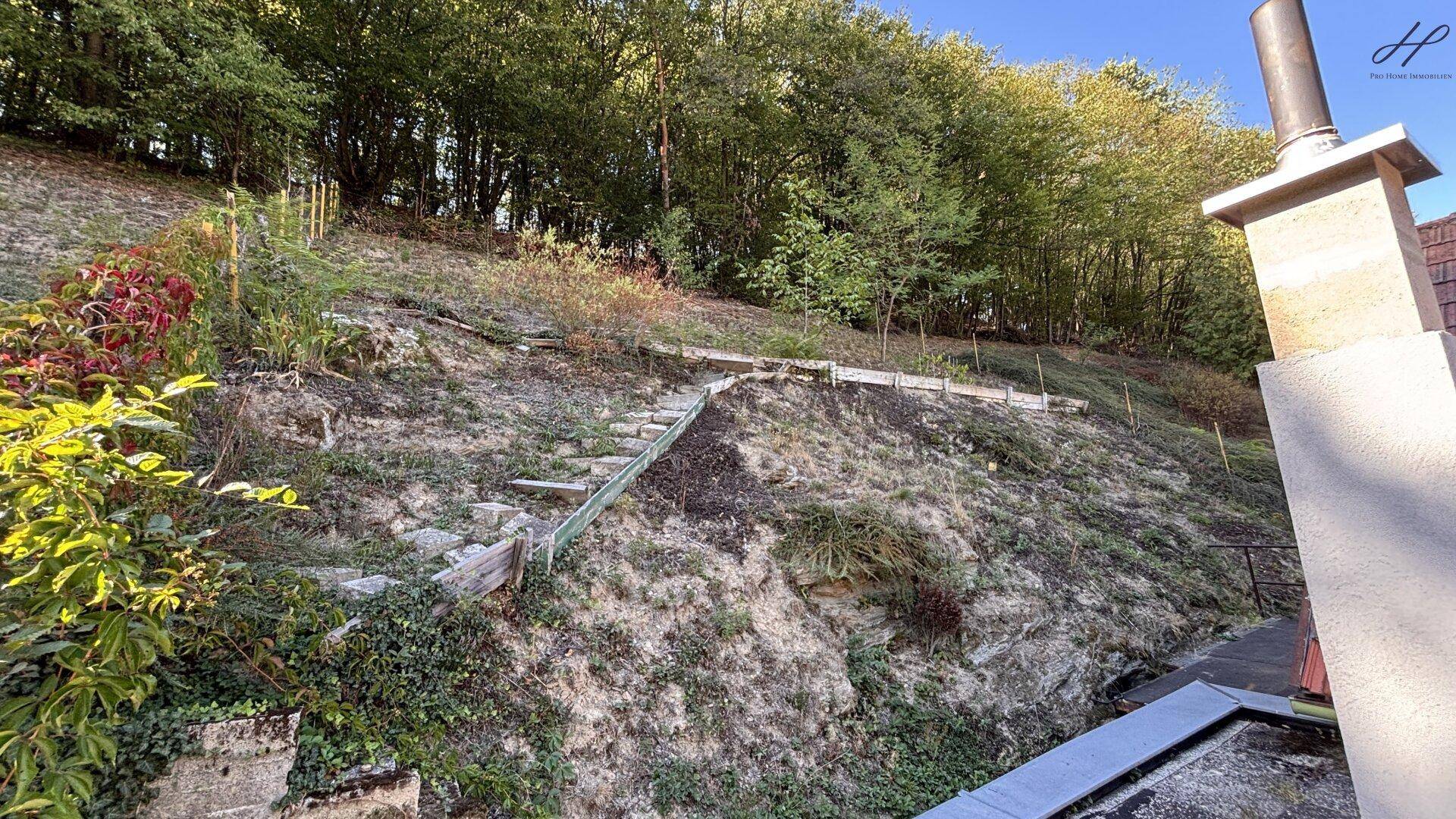 Steiler, terrassierter Gartenbereich mit Treppen und natürlicher Vegetation am Hang.