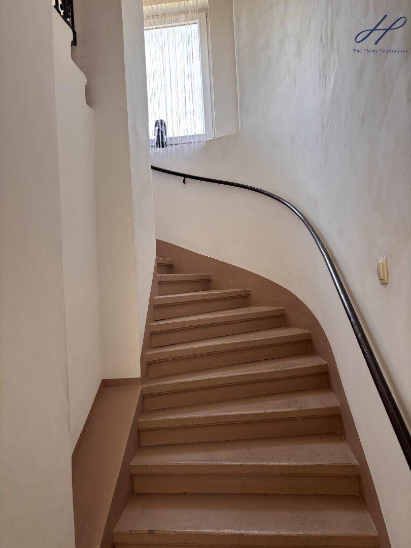 Geschwungene Treppe mit Holzstufen und einem Fenster, das natürliches Licht hereinlässt.