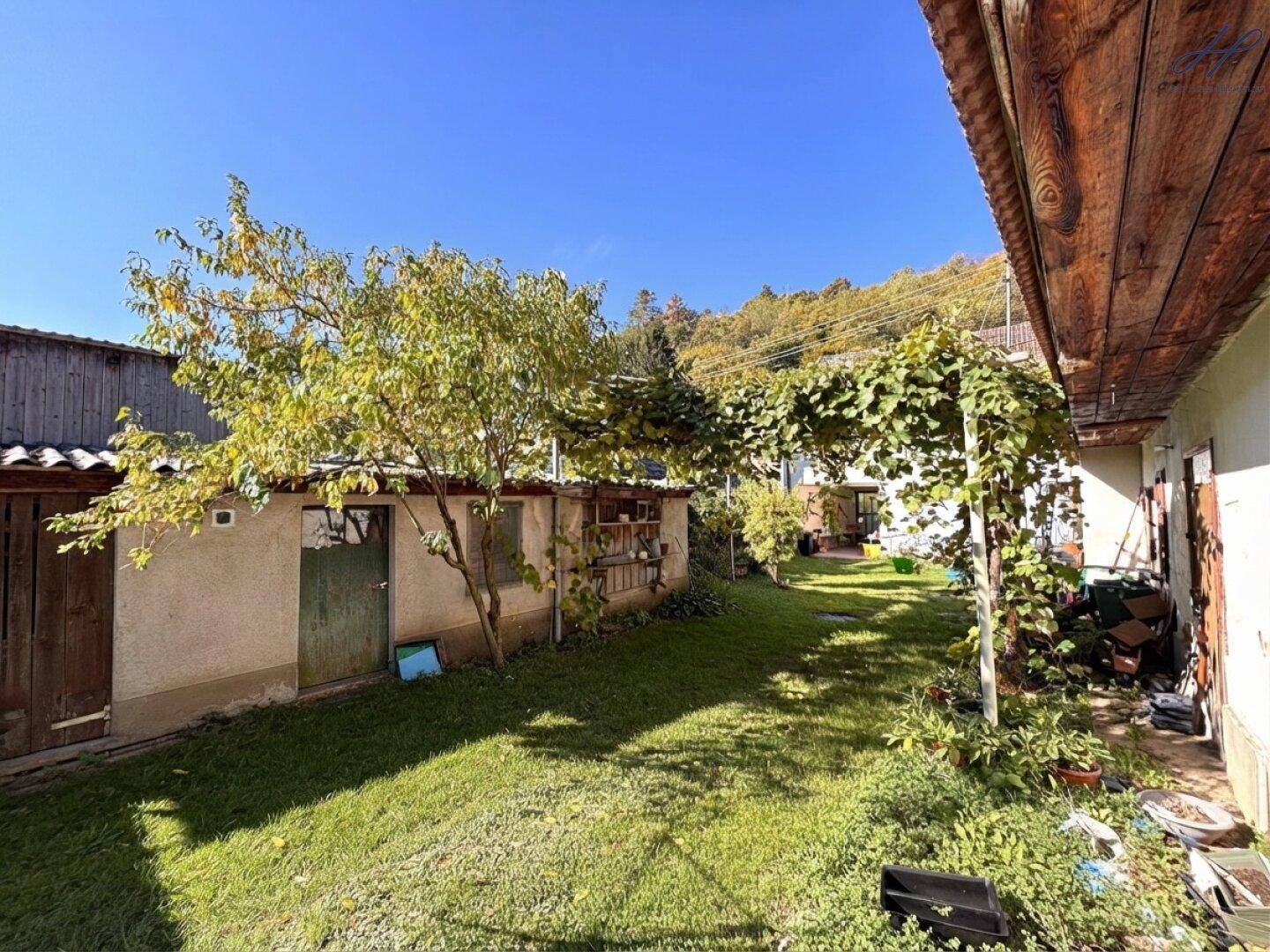 Grüner Garten mit Rasenfläche, Bäumen und einem kleinen Schuppen im Hintergrund.
