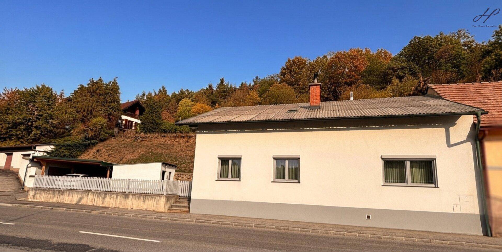 Seitenansicht des Hauses von der Straße mit Fenstern, Rollläden und einem bewaldeten Hügel im Hintergrund.