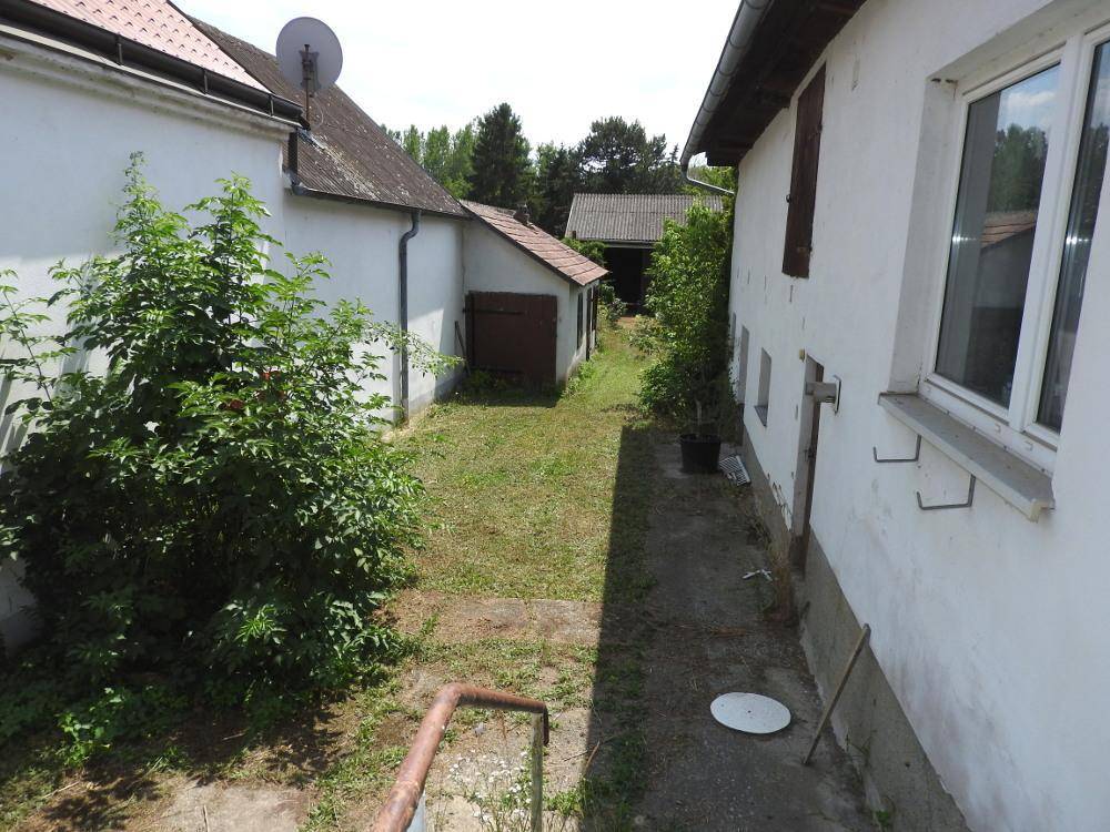 Schmaler Gartenbereich zwischen zwei Gebäuden mit Gras und Büschen, der zu einem Schuppen führt.