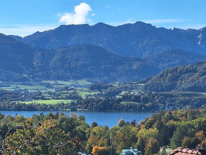 Weitläufiger Blick auf eine malerische Seenlandschaft mit grünen Hügeln und Bergen im Hintergrund.