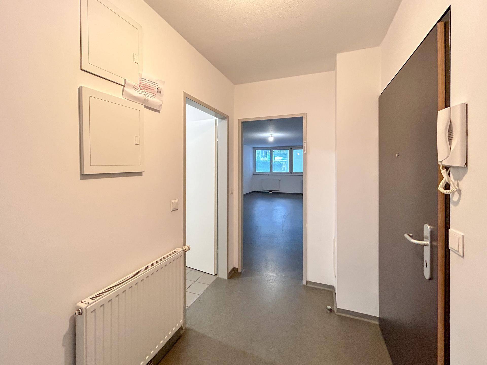Eingangsbereich mit dunkler Wohnungstür, Heizkörper und Blick in die angrenzenden Wohnräume.