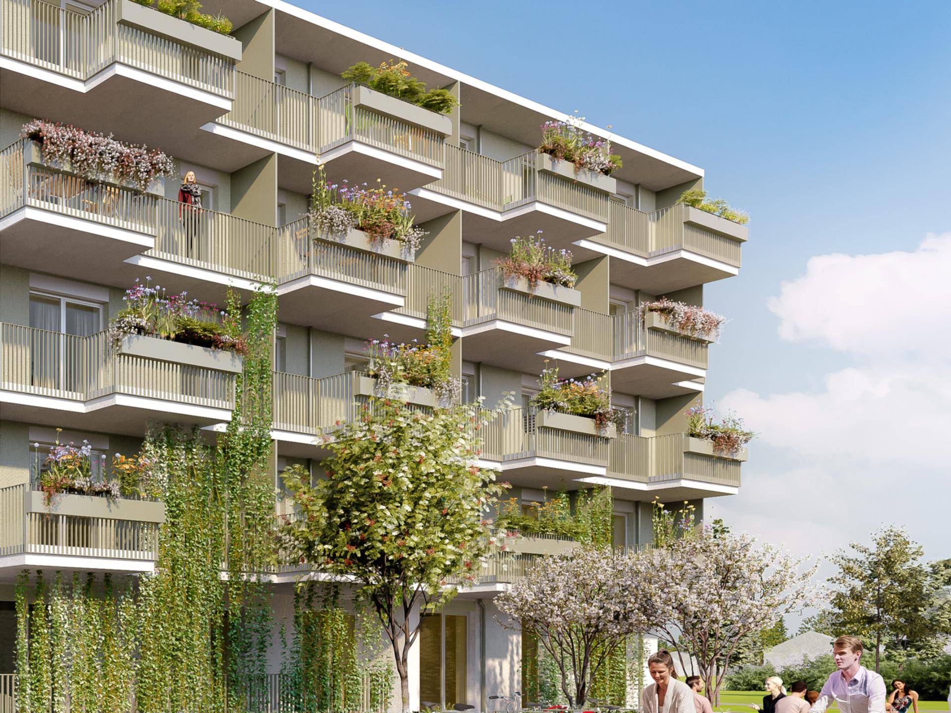 Renderings