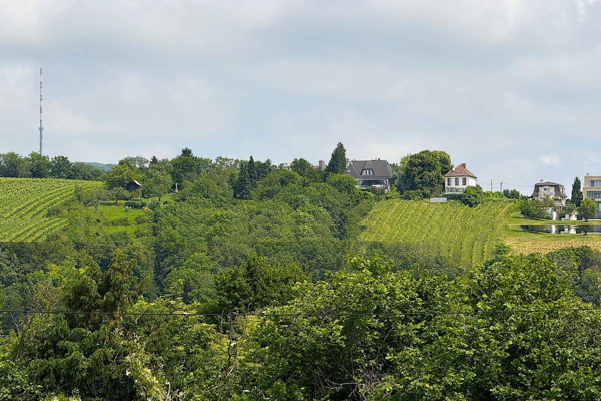 Ausblick