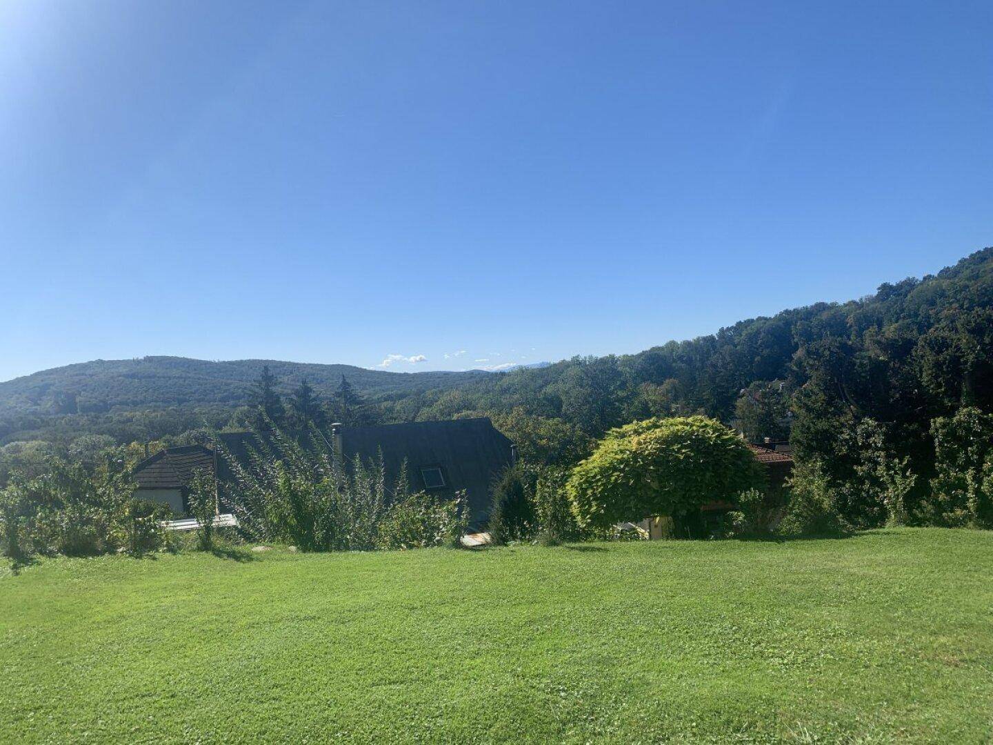 Weitläufige Rasenfläche mit Bäumen und grünen Hügeln im Hintergrund unter blauem Himmel.