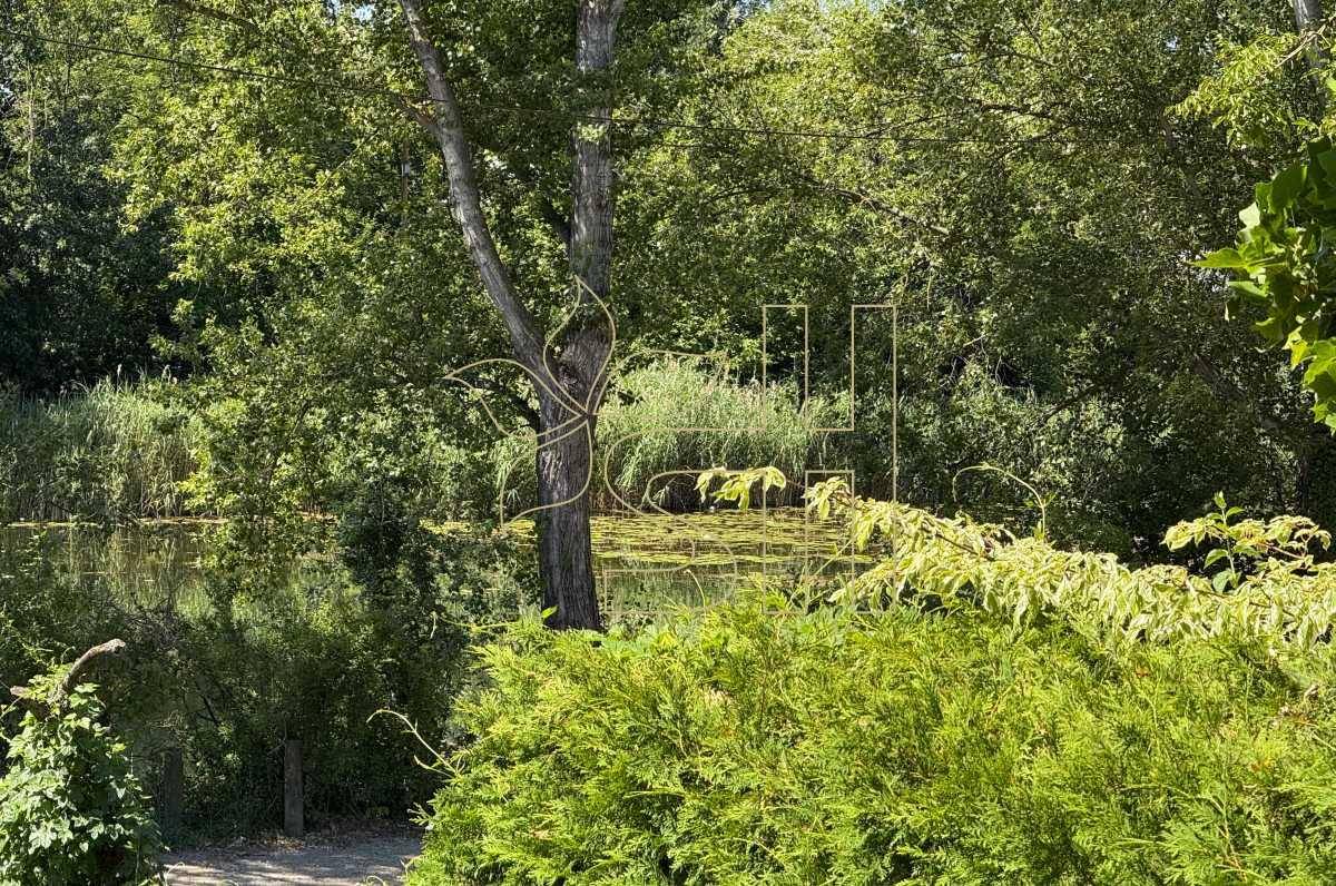 Ruhiger See mit Seerosen und üppiger grüner Vegetation am Ufer unter strahlend blauem Himmel.