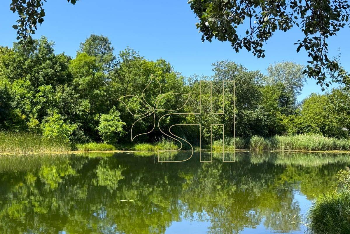 Idyllische Seenlandschaft mit üppiger grüner Vegetation unter einem klaren blauen Himmel.