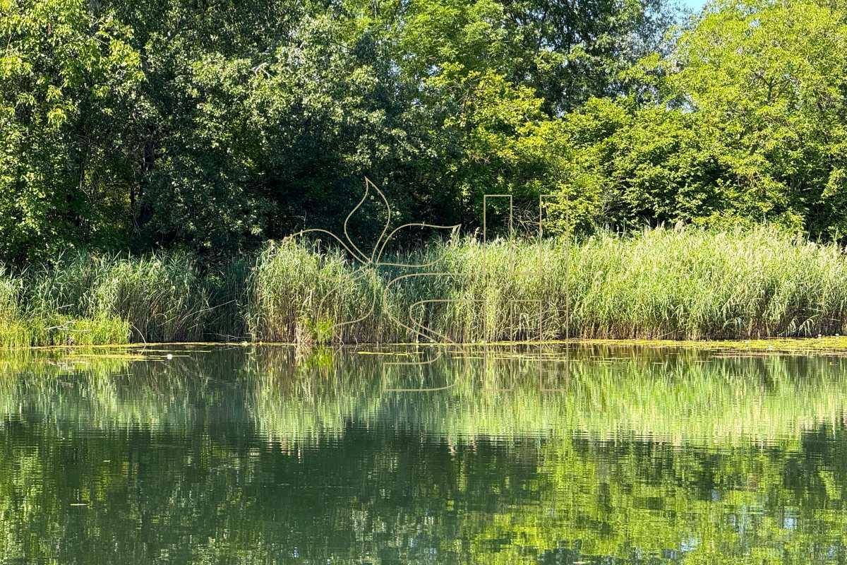 Stimmung Wasser