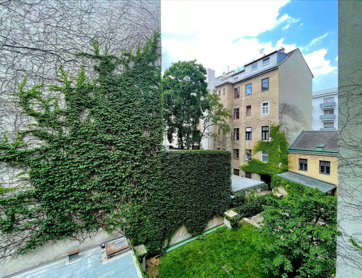 Grüner Innenhof mit üppigem Efeu an den Wänden und Blick auf umliegende Gebäude.