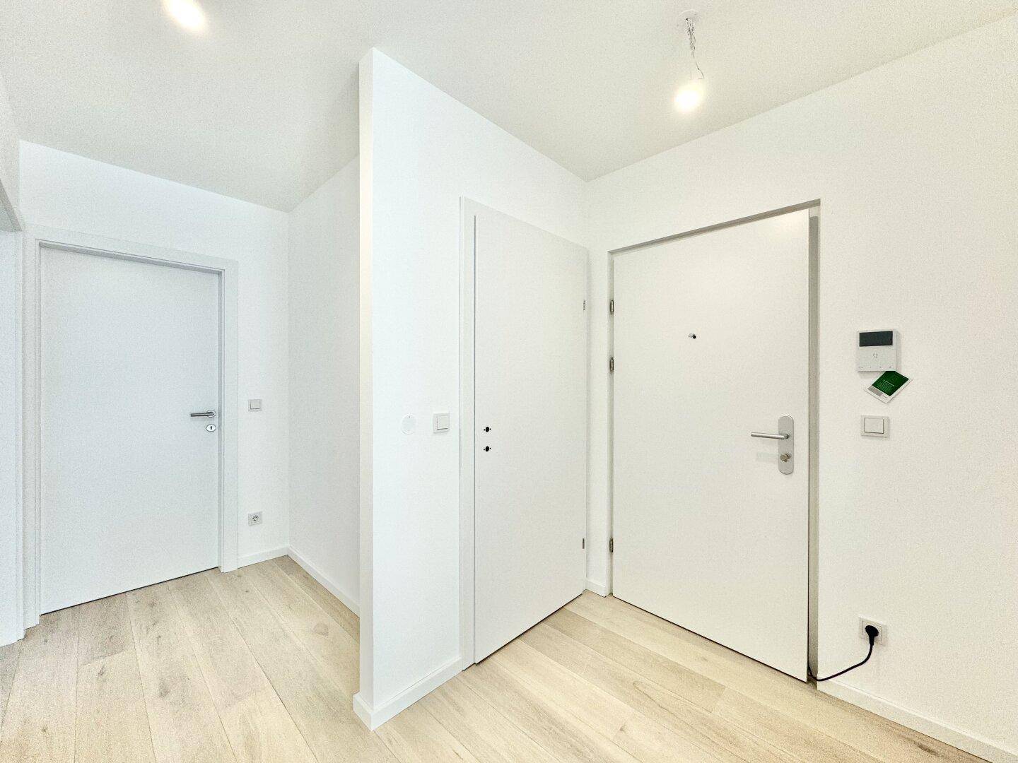 Eingangsbereich mit zwei weißen Türen und modernem Holzboden.