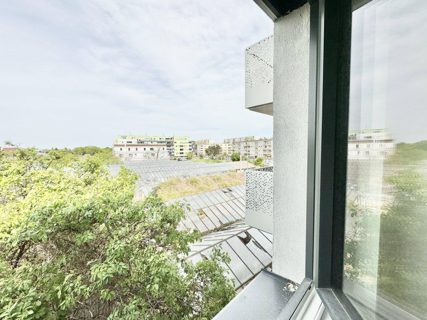 Blick aus dem Fenster auf grüne Bäume und die umliegende Wohnbebauung.
