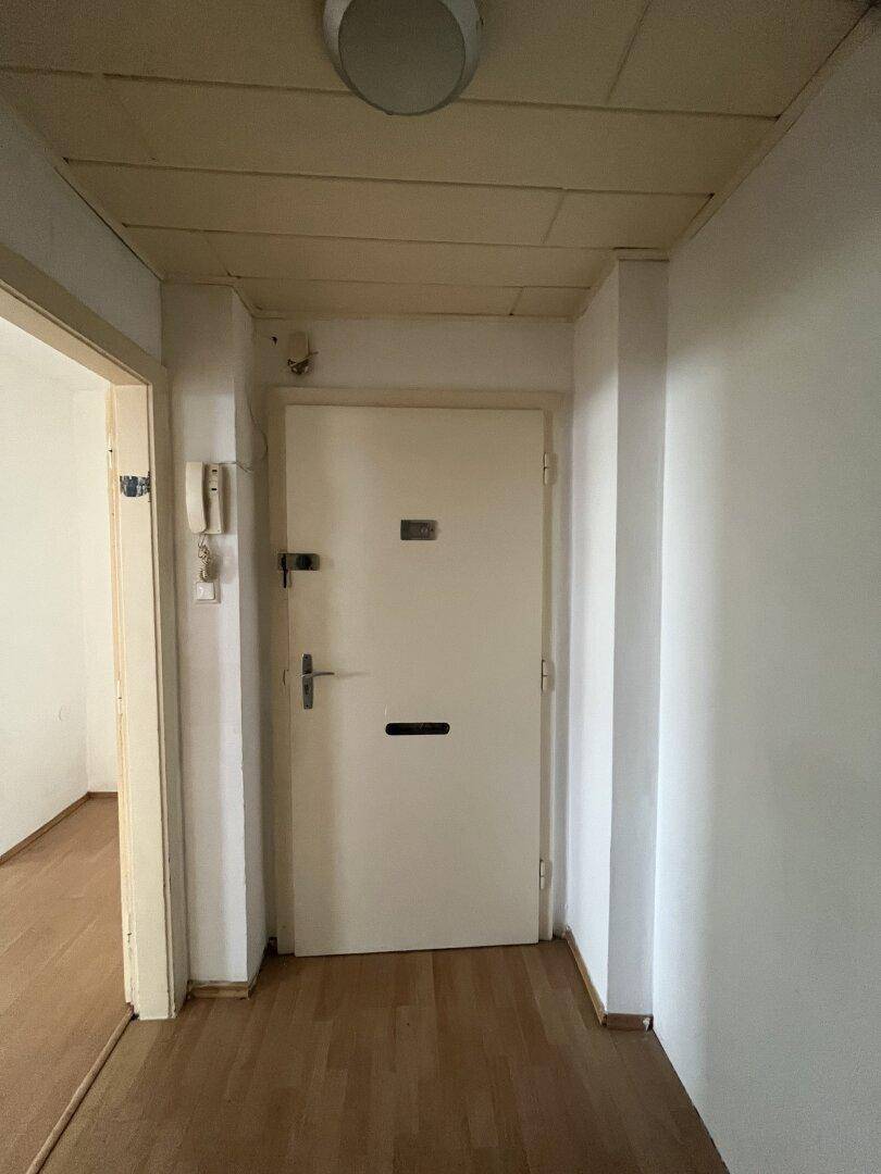 Eingangsbereich mit Holzboden und der Wohnungstür, die zu den Wohnräumen führt.