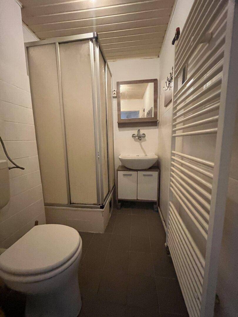 Kleines Badezimmer mit Dusche, WC, Waschbecken und beheiztem Handtuchhalter.