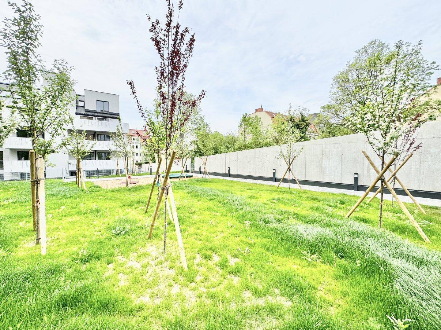 Frisch angelegter Gartenbereich mit Rasen und jungen Bäumen vor einer modernen Wohnanlage.