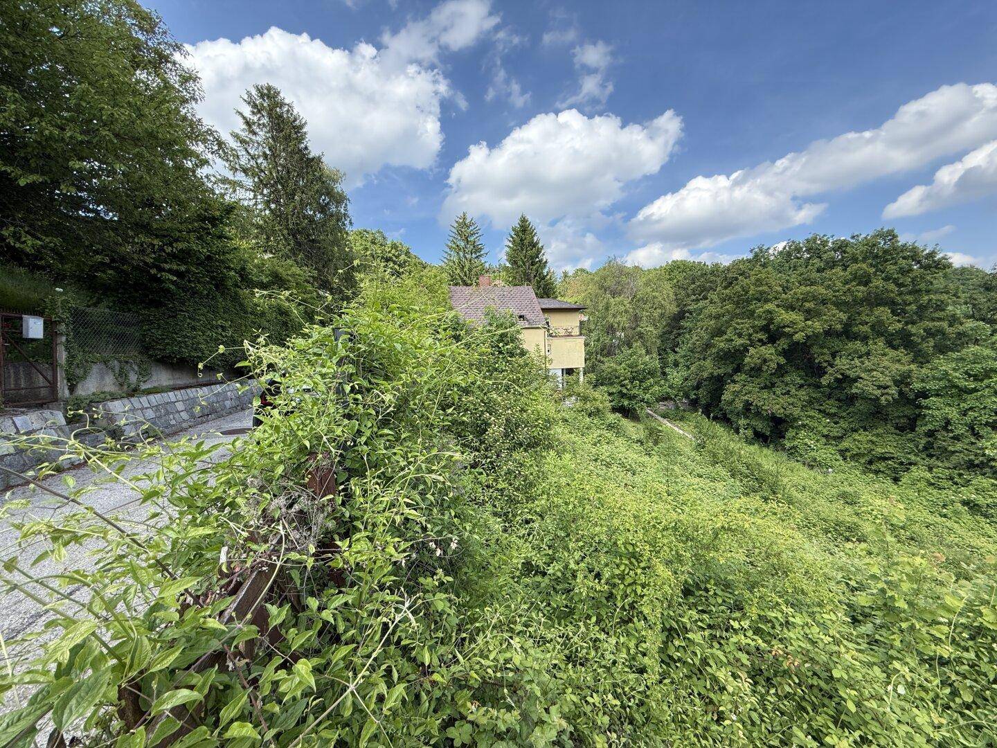 Blick auf ein gelbes Haus inmitten üppiger grüner Vegetation und bewaldeter Hügel.