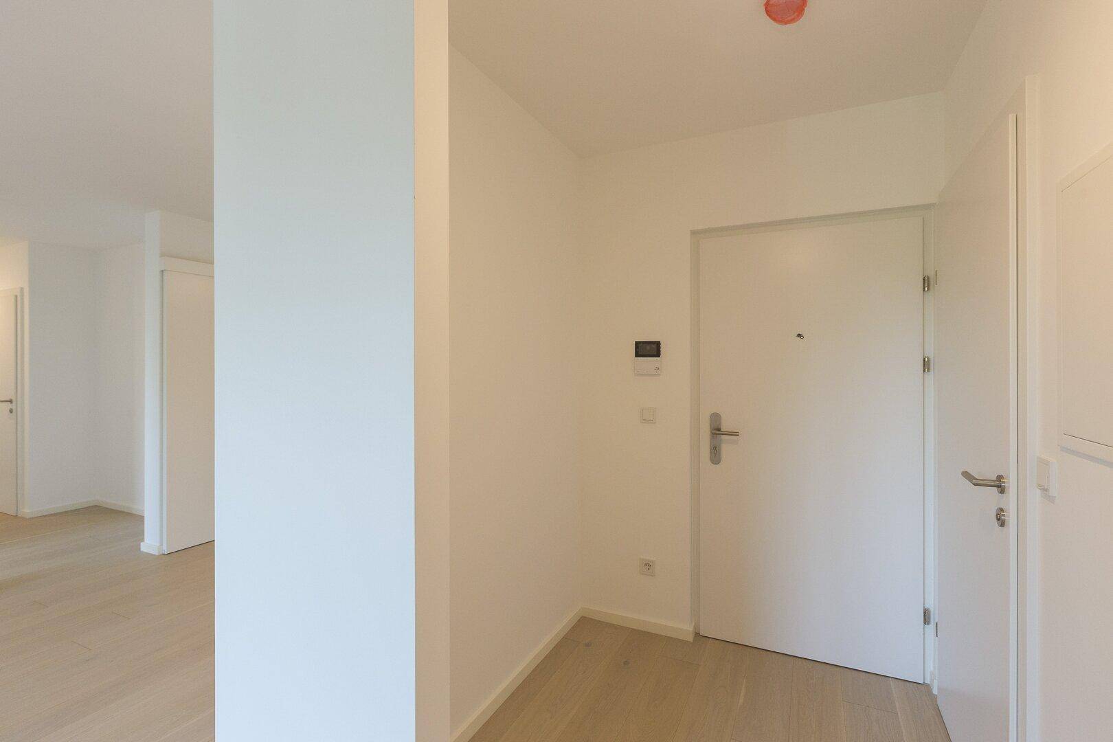Heller Eingangsbereich mit Holzboden und weißer Eingangstür.
