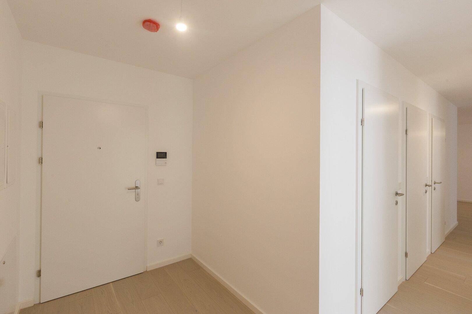 Heller Eingangsbereich mit moderner Haustür und mehreren Innentüren, Holzboden.