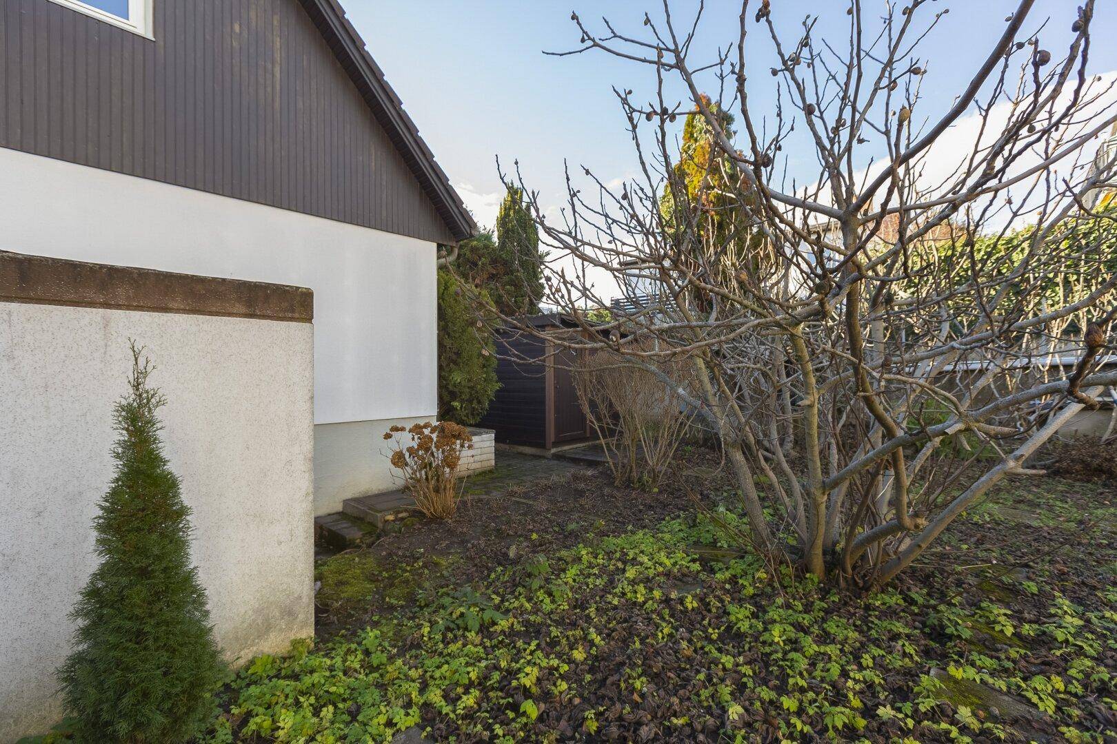 Gartenbereich neben dem Haus mit kahlen Bäumen, Sträuchern und einem kleinen Schuppen im Hintergrund.