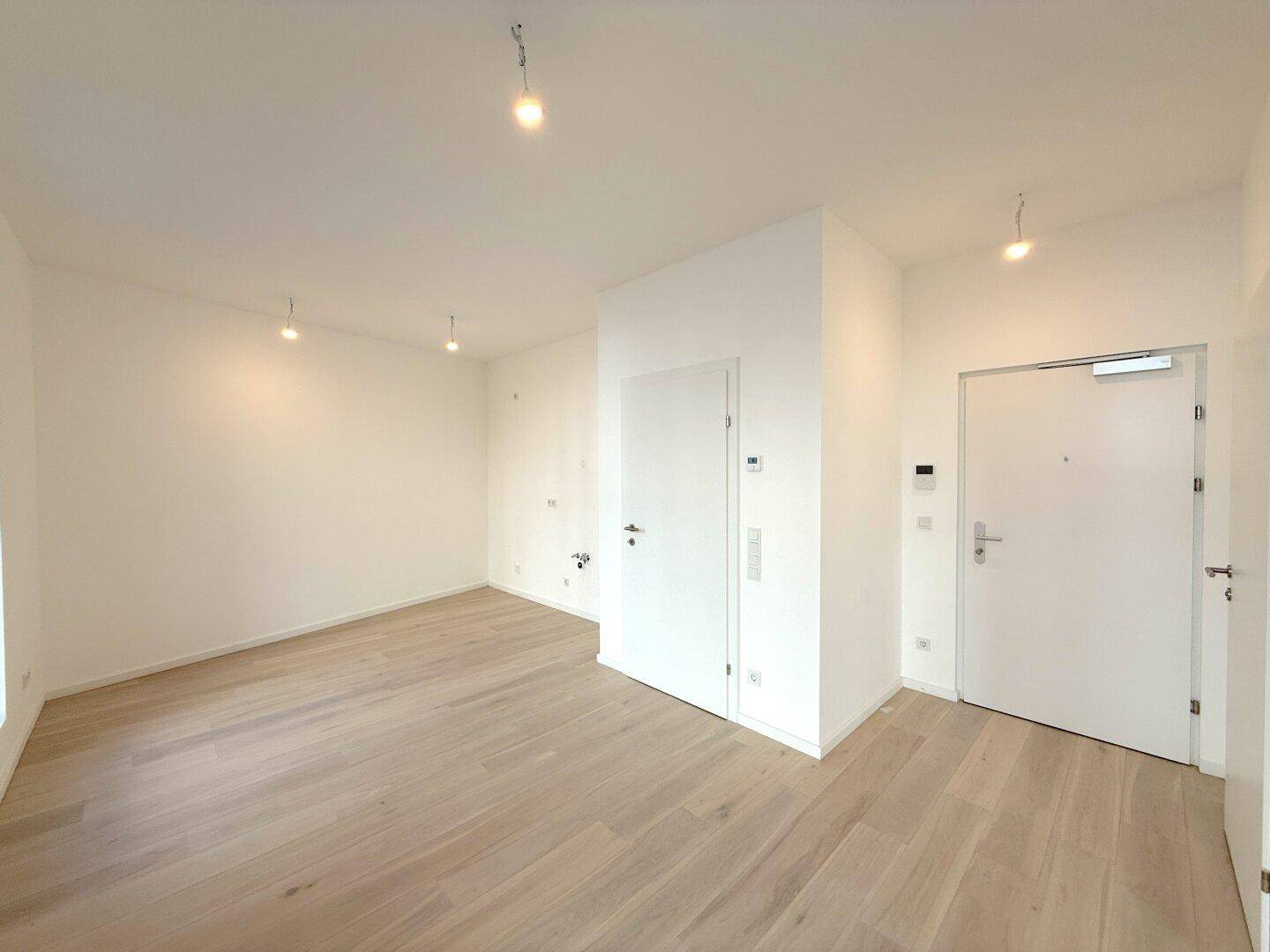 Geräumiger, heller Raum mit Eingangstür und modernem Holzboden.