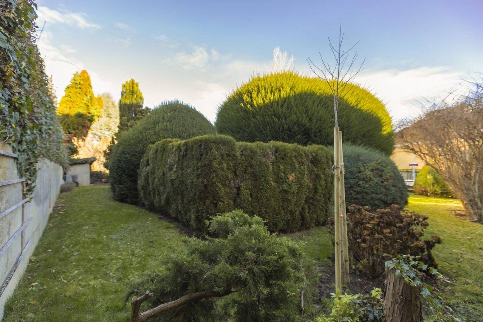Sonniger Gartenbereich mit dichten Hecken und einem traditionellen Haus unter klarem Himmel.