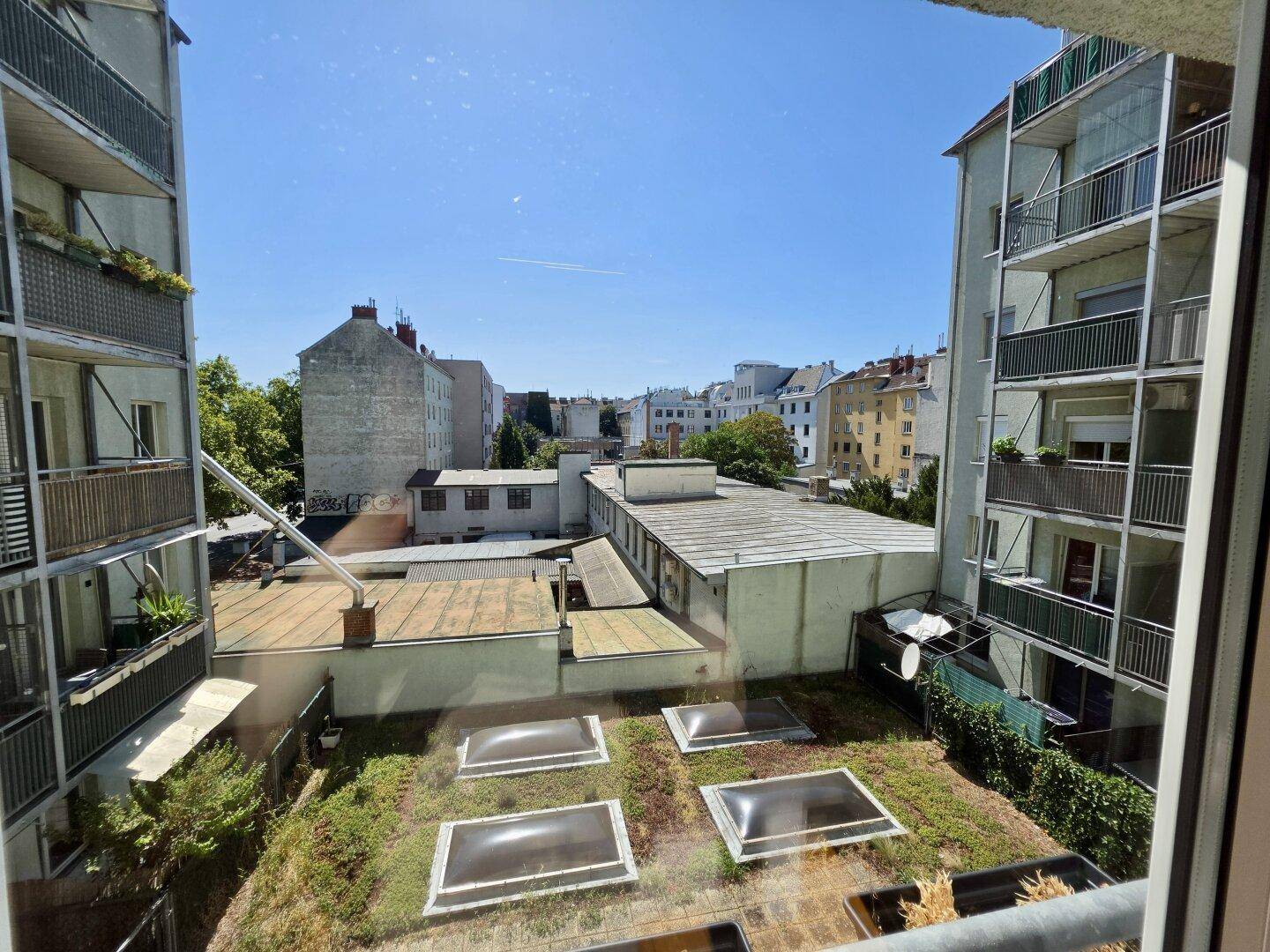 Blick aus dem Fenster auf ein begrüntes Dach mit Oberlichtern und umliegende Gebäude.